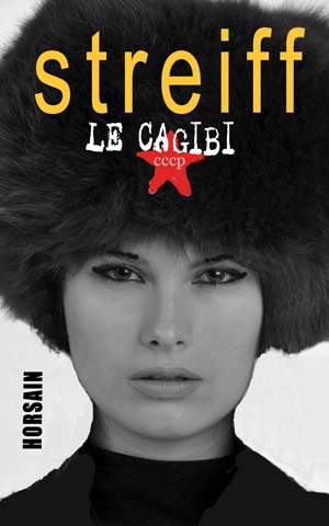 Le Cagibi